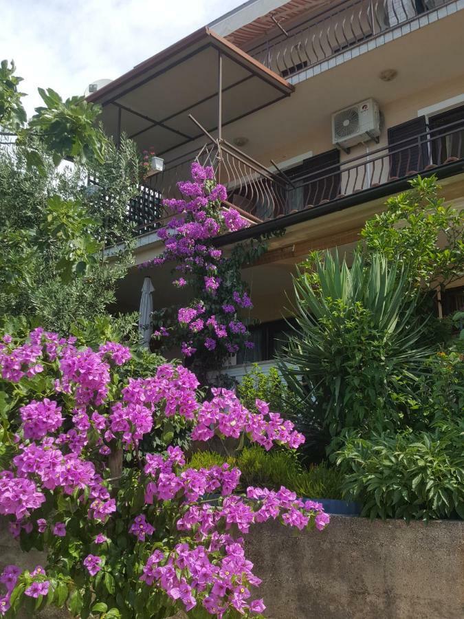 Apartment Dokic 茨里克韦尼察 外观 照片